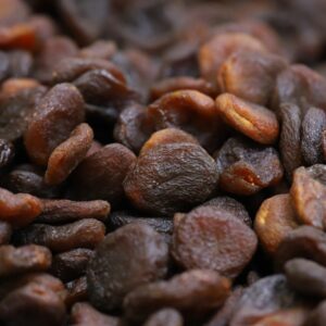 Apricots Sun-dried