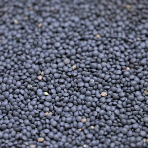 Black Beluga Lentils
