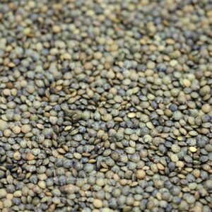 Puy Lentils