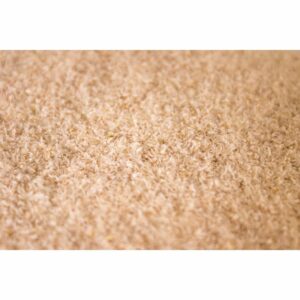 Psyllium Husk