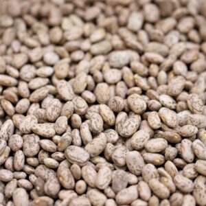 Pinto Beans