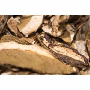 Porcini Mushrooms Sliced