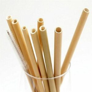 Scoop's Bamboo Straw - Straight